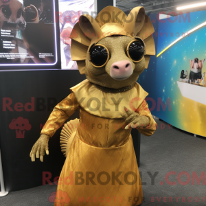Costume mascotte de tatou...