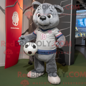Gray Soccer Goal...