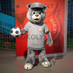 Gray Soccer Goal...