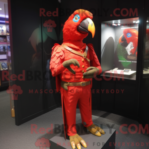 Rød papegøye maskot drakt...