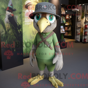 Olive Falcon...