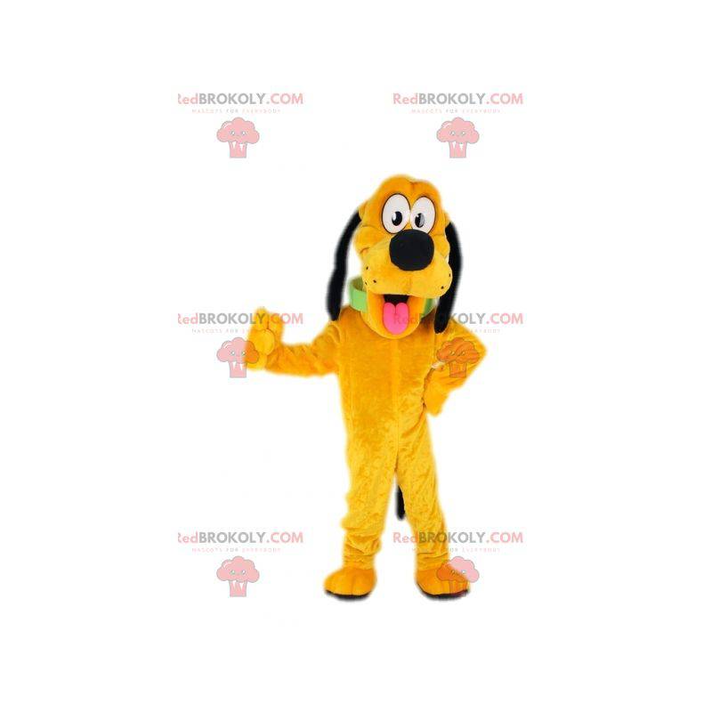 Disney's famous yellow dog Pluto mascot - Redbrokoly.com