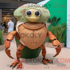 Olive Eremit Crab...