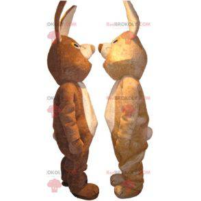 2 mascotas de conejo, una marrón y otra beige - Redbrokoly.com