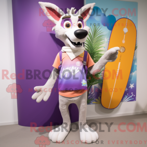 Lavendel Dingo...