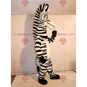 Marty mascot famous zebra from Madagascar cartoon -