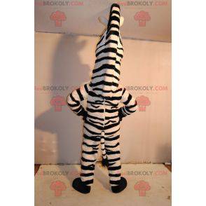 Marty mascot famous zebra from Madagascar cartoon -