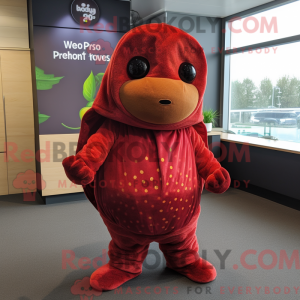 Rust Raspberry mascot...