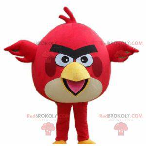 Mascotte uccello rosso e bianco di Angry Birds - Redbrokoly.com