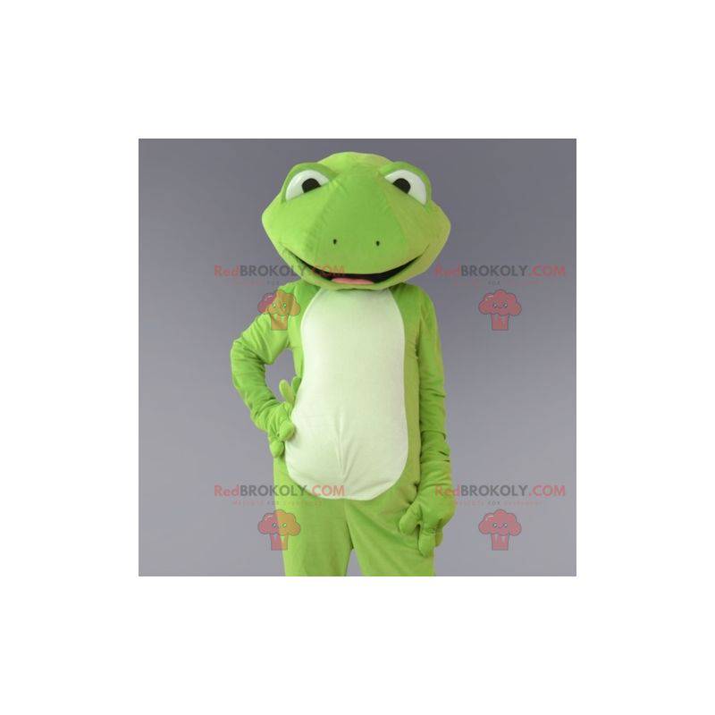 Mascotte de grenouille verte et blanche. Costume de grenouille