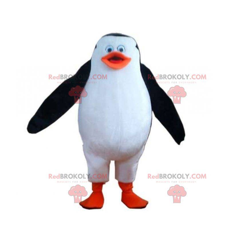 Mascota pingüino blanco negro y naranja regordete y lindo -