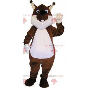 Very cute and plump brown and white squirrel mascot -