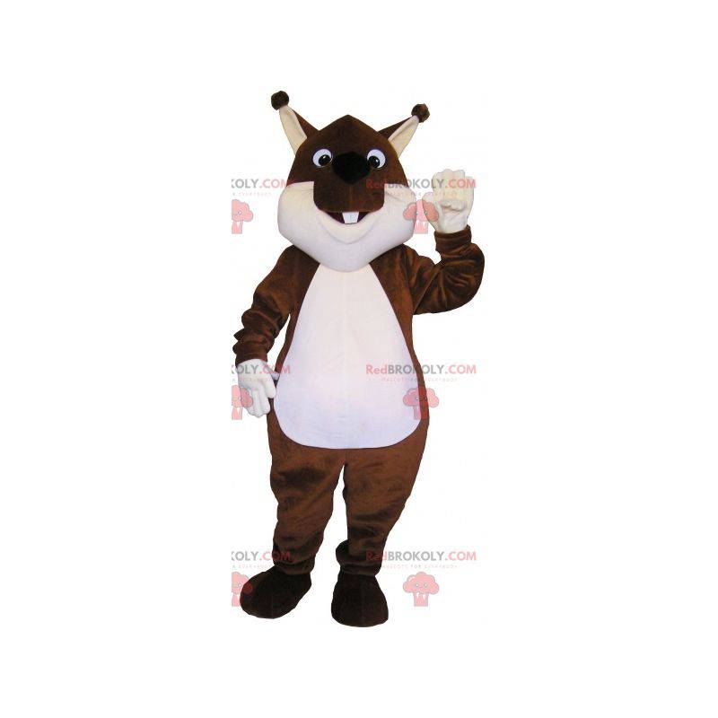 Velmi roztomilý a baculatý hnědý a bílý veverka maskot - Velmi roztomilý a baculatý hnědý a bílý veverka maskot -