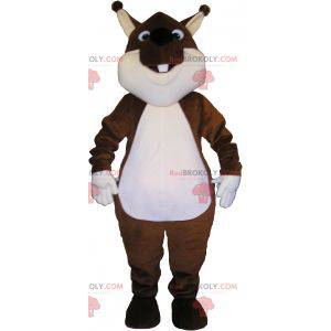 Very cute and plump brown and white squirrel mascot -