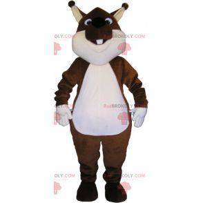 Mascotte d'écureuil marron et blanc très mignon et dodu -