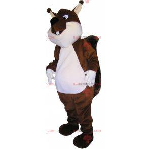 Very cute and plump brown and white squirrel mascot -