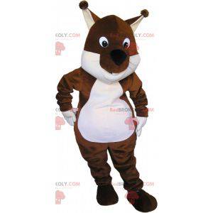Very cute and plump brown and white squirrel mascot -