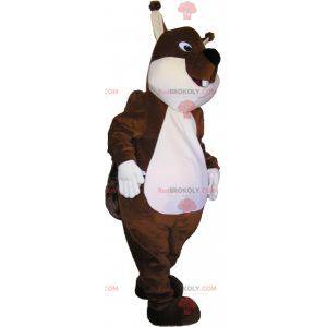 Very cute and plump brown and white squirrel mascot -