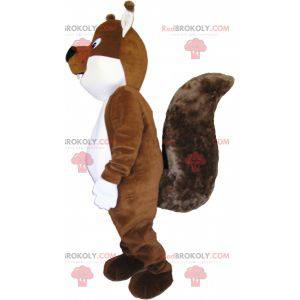 Very cute and plump brown and white squirrel mascot -