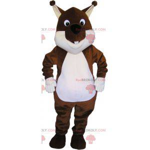 Very cute and plump brown and white squirrel mascot -
