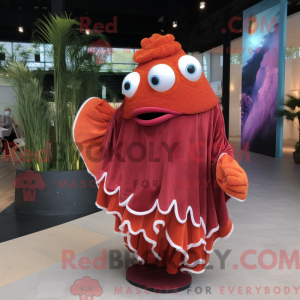 Maroon Clown Fish...