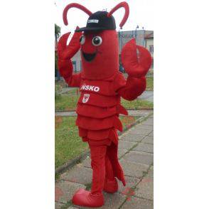 Hummer maskot. Kæmpe krebsmaskot - Redbrokoly.com