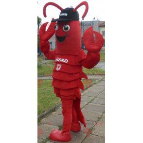 Lobster mascot. Giant crayfish mascot - Redbrokoly.com