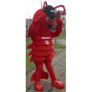 Mascotte di aragosta. Mascotte di gamberi giganti -