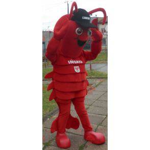 Lobster mascot. Giant crayfish mascot - Redbrokoly.com