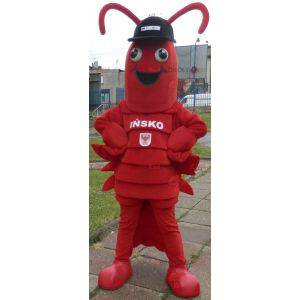 Lobster mascot. Giant crayfish mascot - Redbrokoly.com