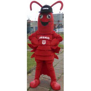 Hummer maskot. Kæmpe krebsmaskot - Redbrokoly.com