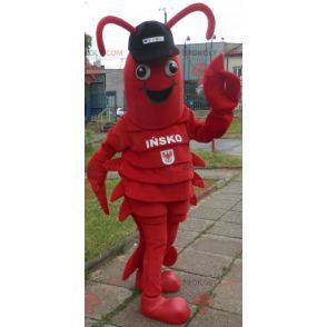 Lobster mascot. Giant crayfish mascot - Redbrokoly.com