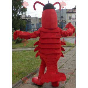 Hummer maskot. Kjempekreps maskot - Redbrokoly.com