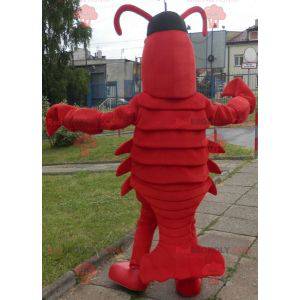 Mascotte de homard. Mascotte d'écrevisse géante - Redbrokoly.com