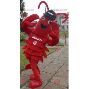 Lobster mascot. Giant crayfish mascot - Redbrokoly.com