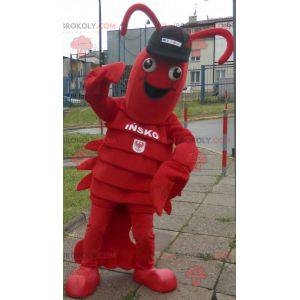 Hummer maskot. Kæmpe krebsmaskot - Redbrokoly.com