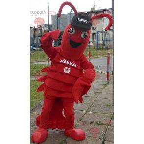 Lobster mascot. Giant crayfish mascot - Redbrokoly.com