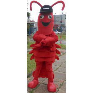 Hummer maskot. Kæmpe krebsmaskot - Redbrokoly.com