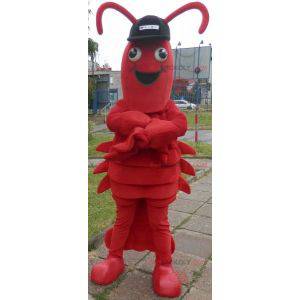 Lobster mascot. Giant crayfish mascot - Redbrokoly.com