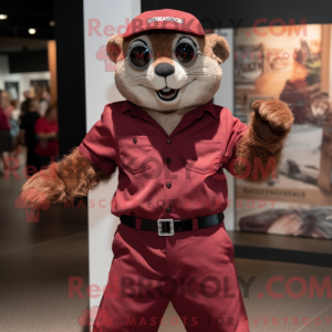 Maroon Mongoose mascot...