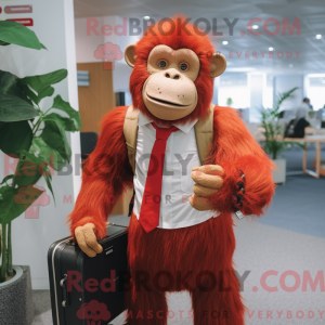 Rode orang-oetan...