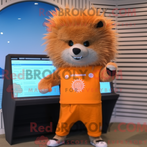 Oranje Stekelvarken...