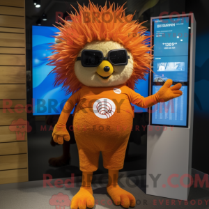 Oranje Stekelvarken...