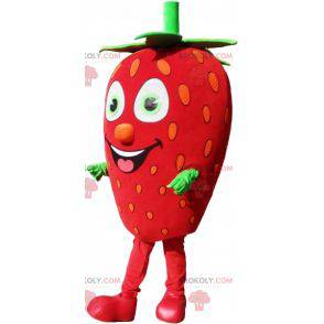 Giant strawberry mascot. Red and green fruit mascot -