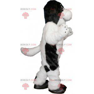 Haariges und süßes weißes und schwarzes Hundemaskottchen -