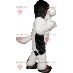 Mascotte cane bianco e nero peloso e carino - Redbrokoly.com