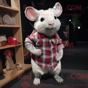 White Chinchilla mascot...