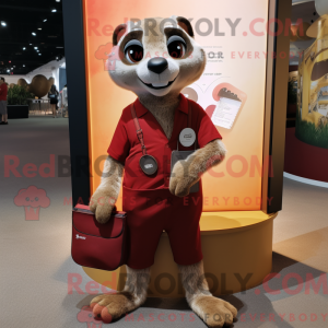 Maroon Meerkat maskot...