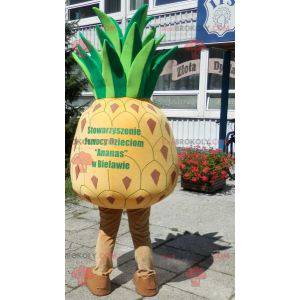 Gigantisk gul og grønn ananas maskot. Ananas kostyme -