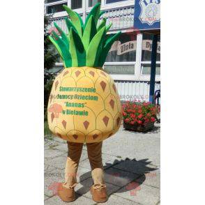 Mascotte d'ananas jaune et vert géant. Costume d'ananas -